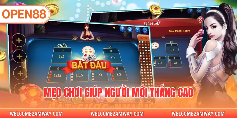 Mẹo chơi giúp người mới thắng cao